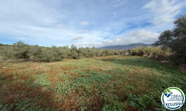 Terrenys i solars en venda a Nord, imagen 15