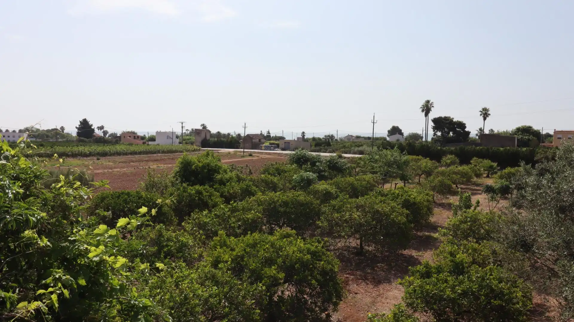 Terreno rústico en venta en Alcanar, imagen 25