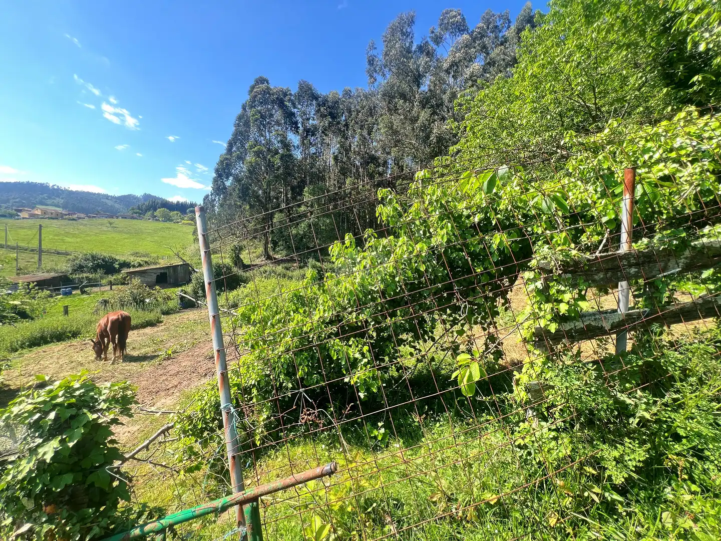Einfamilien-Reihenhaus zum Verkauf in Castrillón