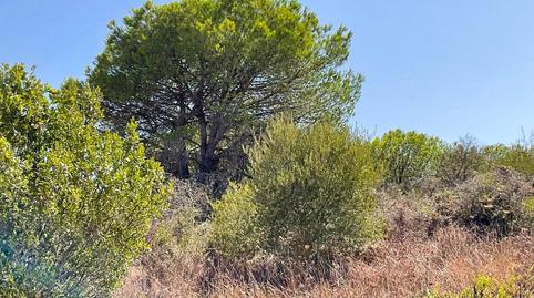 Foto 5 de Residencial en venda a C/ Laurel, la Reserva, Sotogrande Alto, Sotogrande