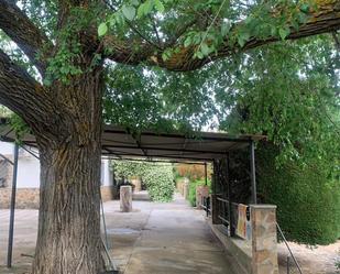 Jardí de Casa o xalet en venda en Brazatortas amb Jardí privat, Terrassa i Piscina