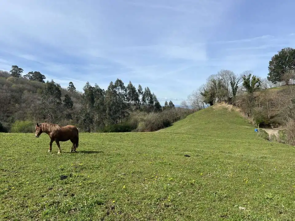 Land for sale in Carbayin - Lieres - Valdesoto