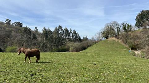 Foto 5 de Finca rústica en venda a Carbayin - Lieres - Valdesoto, Asturias