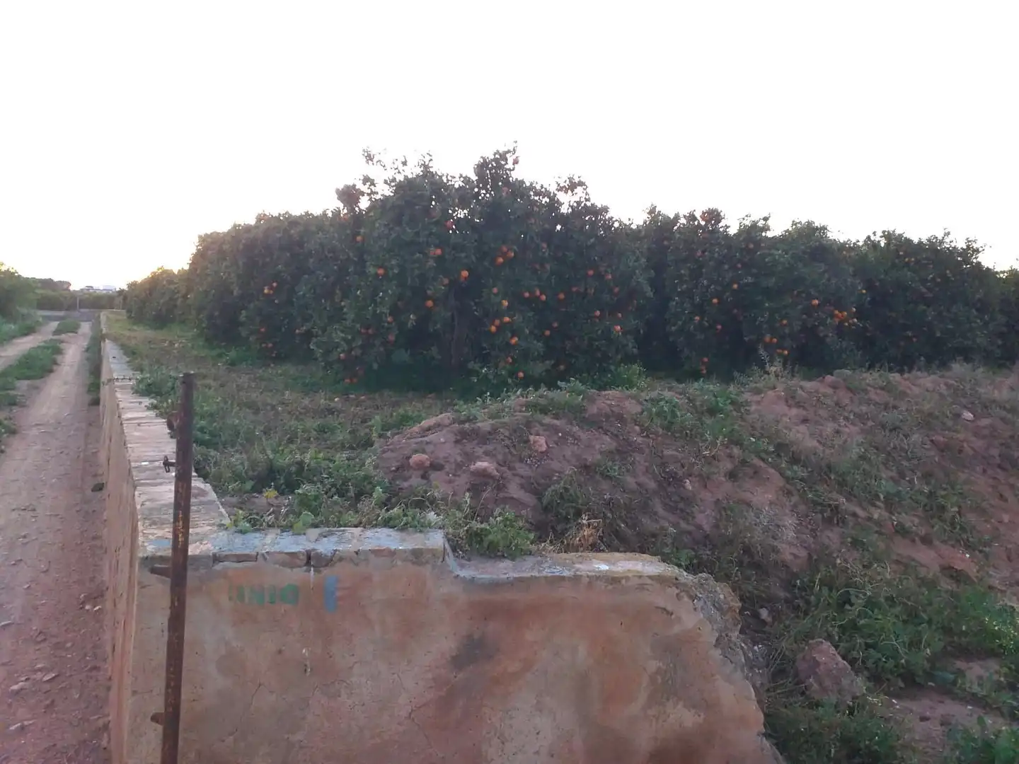 Land for sale in Quart de Poblet