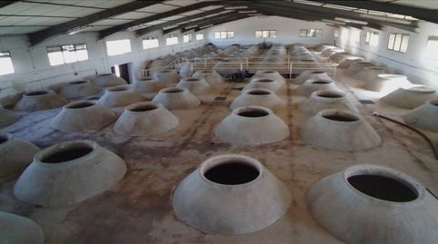 Se Vende Antigua Bodega o Terreno en Torralba de Calatrava, imatge 3