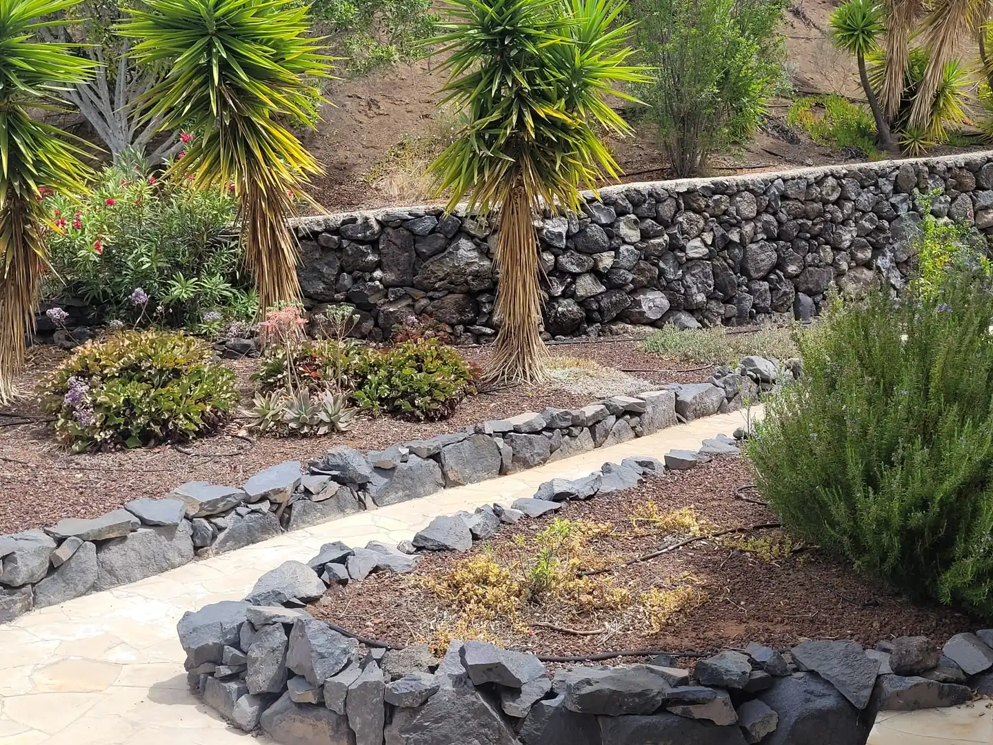 Jardín de Finca rústica en venta en Santa Cruz de Tenerife con Terraza, Piscina y Amueblado