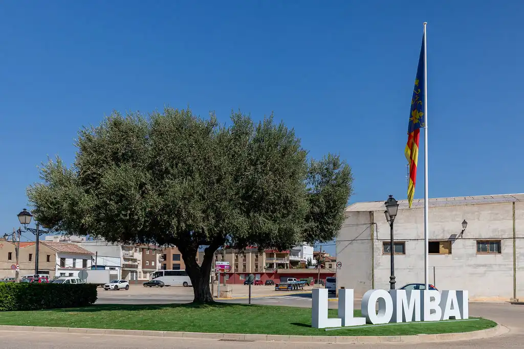 Exterior view of Commercial properties for sale in Llombai
