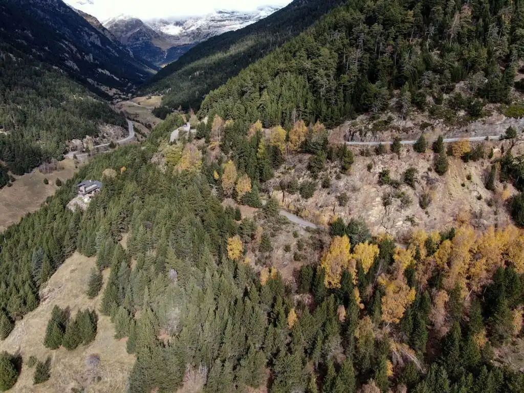 Terreno rustico in vendita a L'Aldosa - Ransol, imagen 9