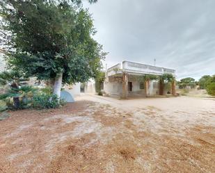 Exterior view of Industrial land for sale in Elche / Elx