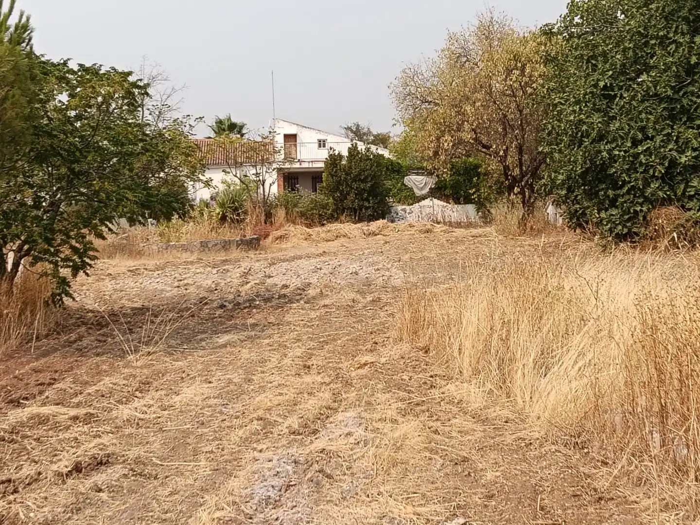 Casa o xalet en venda a Calle Badajoz, 3, Almendralejo