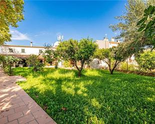 Garden of House or chalet for sale in  Palma de Mallorca  with Terrace