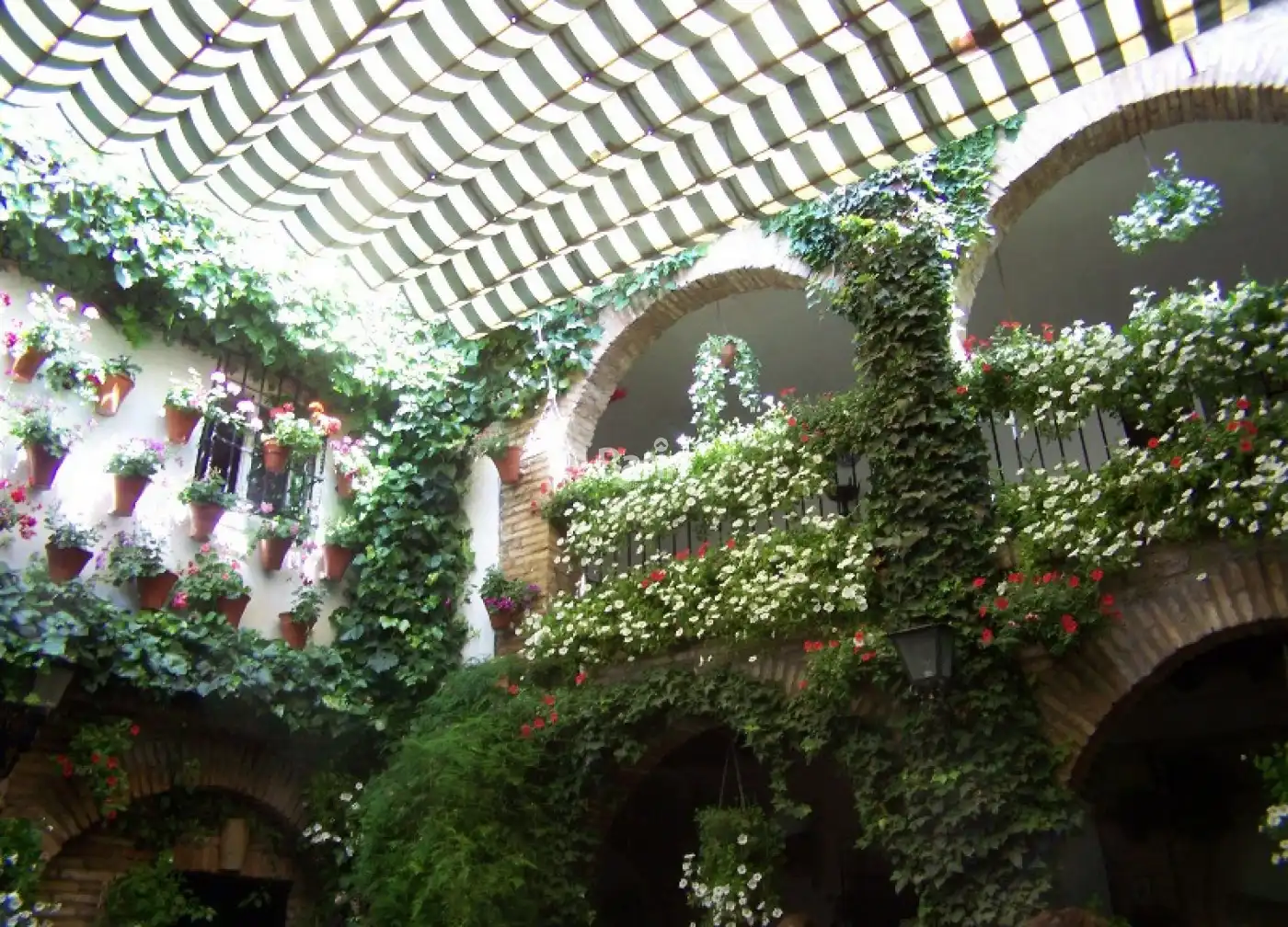 Terrassa de Casa o xalet en venda en Córdoba