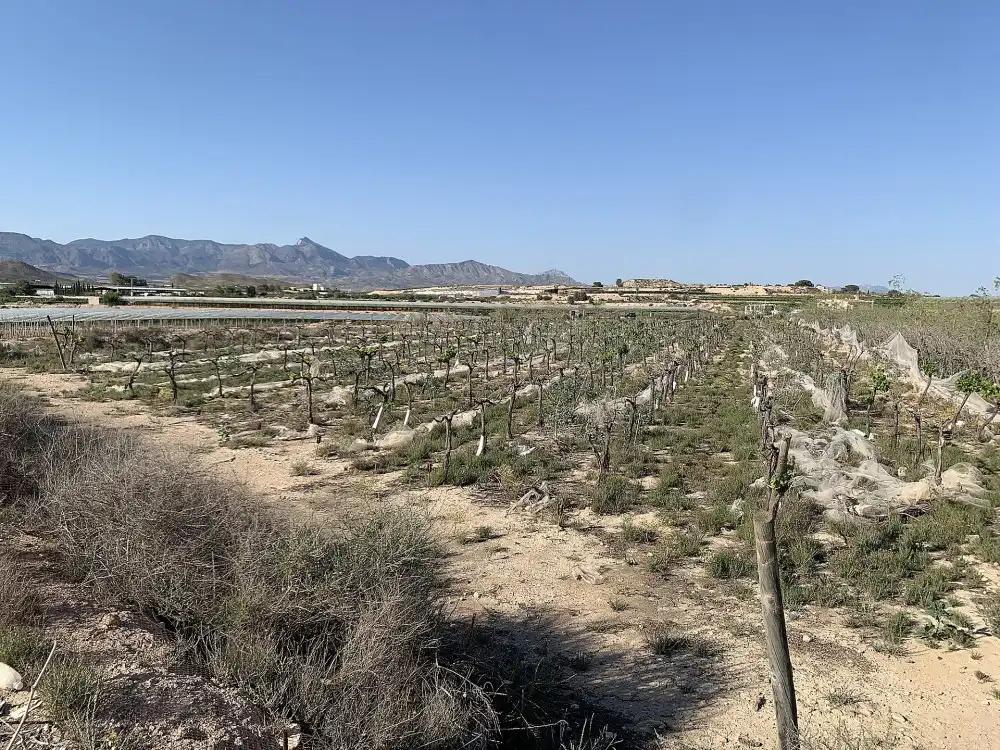 Terreno residencial en venta en Monforte del Cid, imagen 11