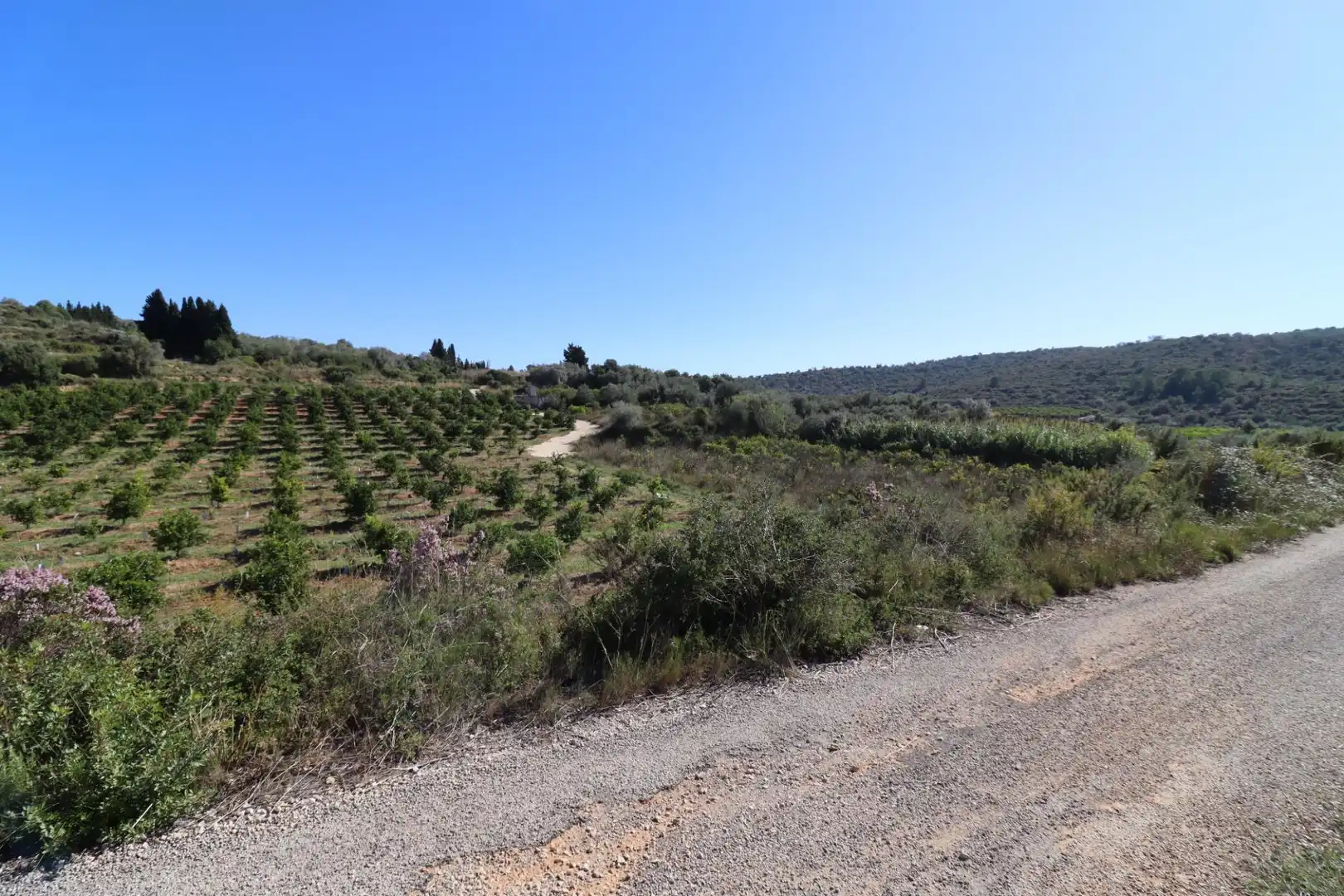 Grundstücke zum Verkauf in Ulldecona