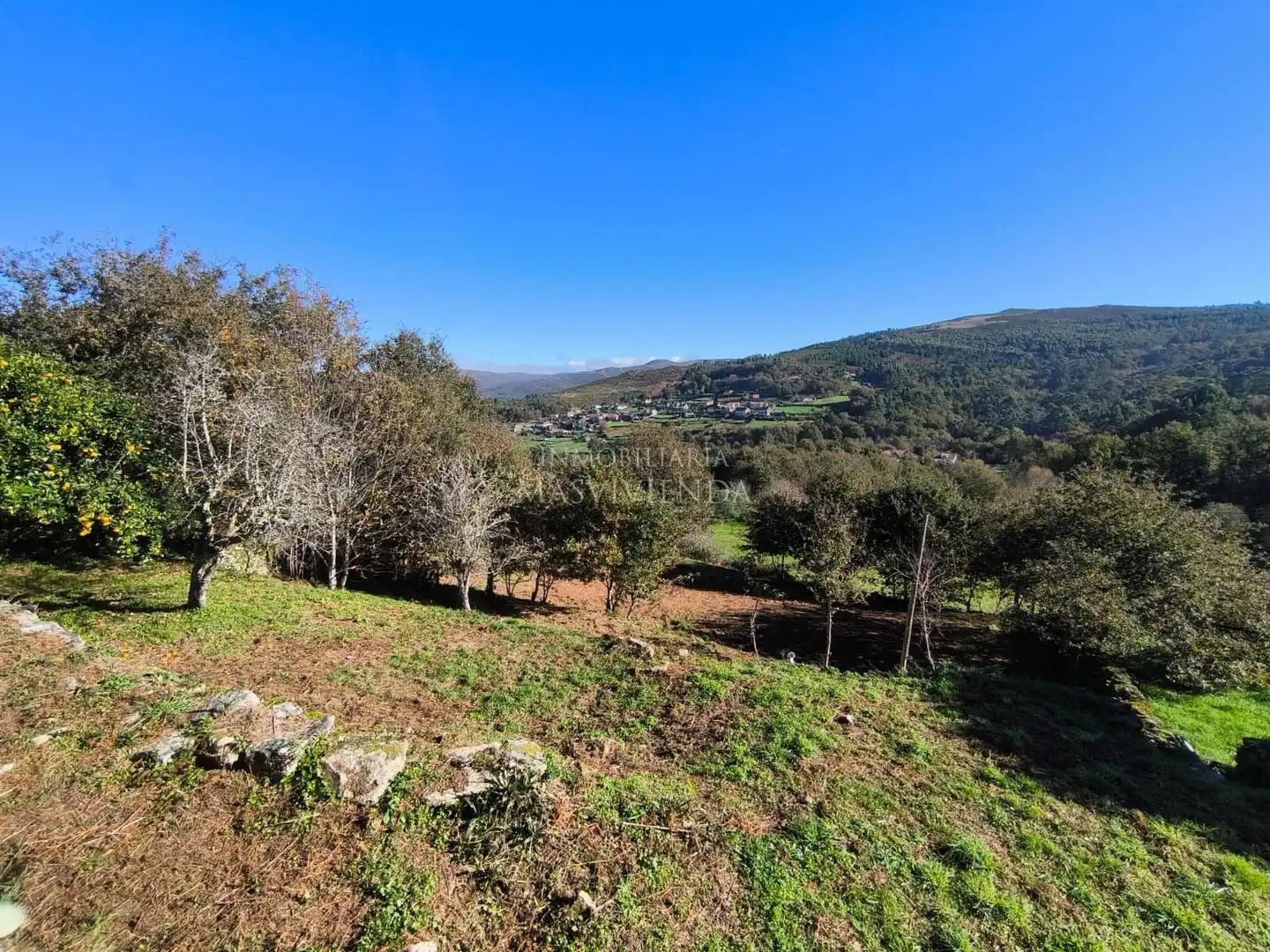 Houses for sale in Fornelos de Montes  with Private garden and Storage room