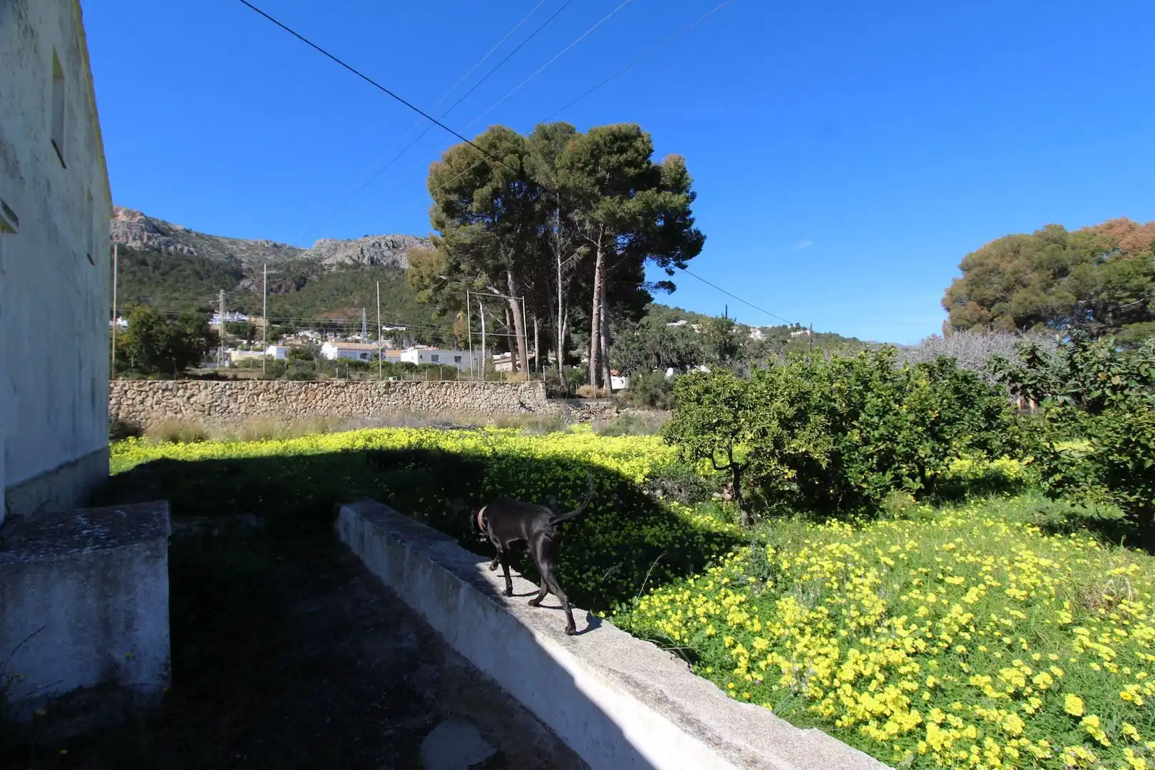 Land for sale in Benicolada - Las Adelfas