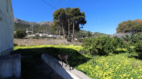 Foto 5 de Terreny en venda a Benicolada - Las Adelfas, Calpe / Calp