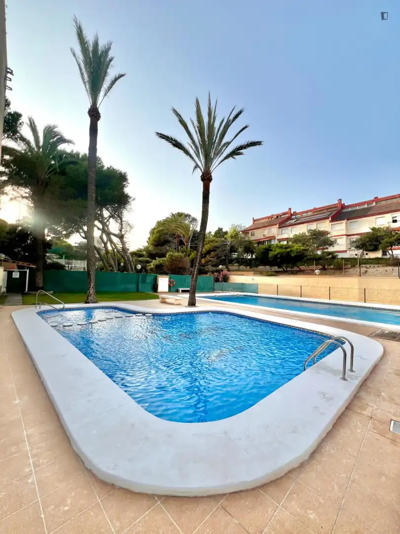 Swimming pool of Apartments for rent in El Campello  with Air Conditioner, Furnished and Oven