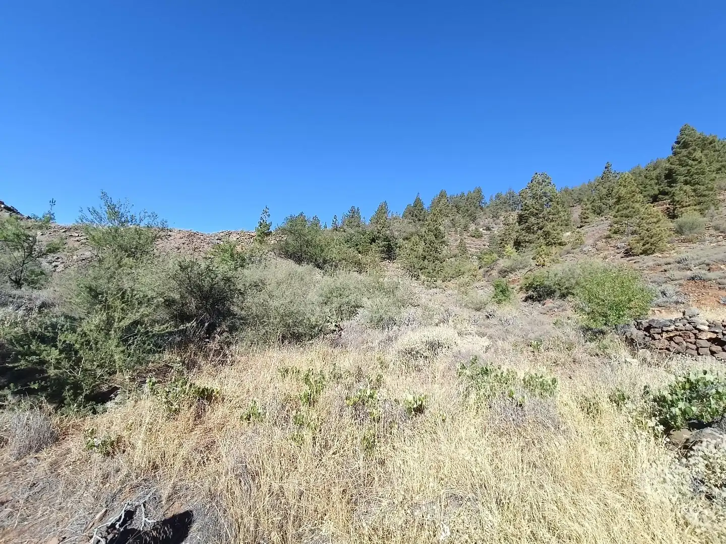 Terreno rústico en venta en M\A LIRIOS. VILAFLOR DE CHASNA [S.C. TENERIFE], imagen 12