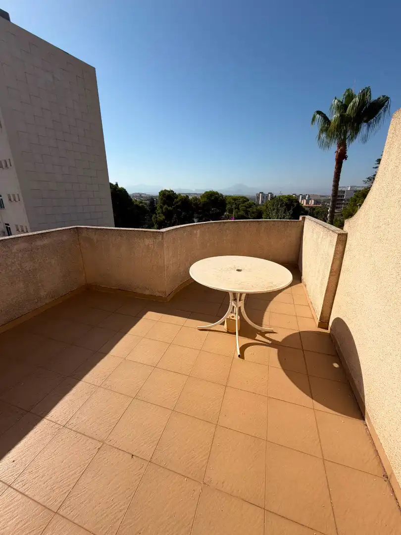 Villa con terrazza in vendita a Avinguda Albufereta, imagen 40