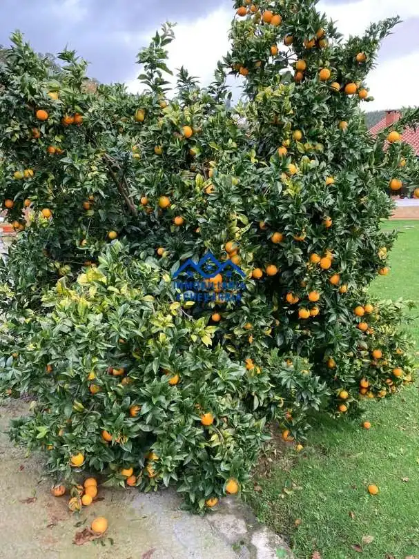 Xalet amb jardí en venda a Berango, imagen 78