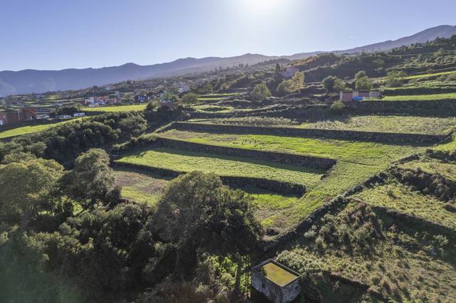 Terreno en Venta en Cl Hoya de Farrais, , 236 en Palo Blanco