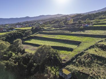 Terreno rústico en venta en Cl Hoya de Farrais, 236