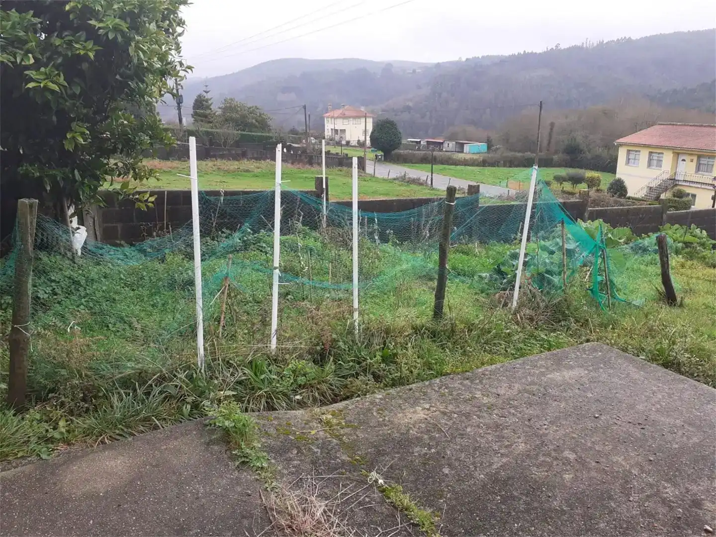 Casa o xalet en venda en Cesuras amb Jardí privat, Traster i Moblat
