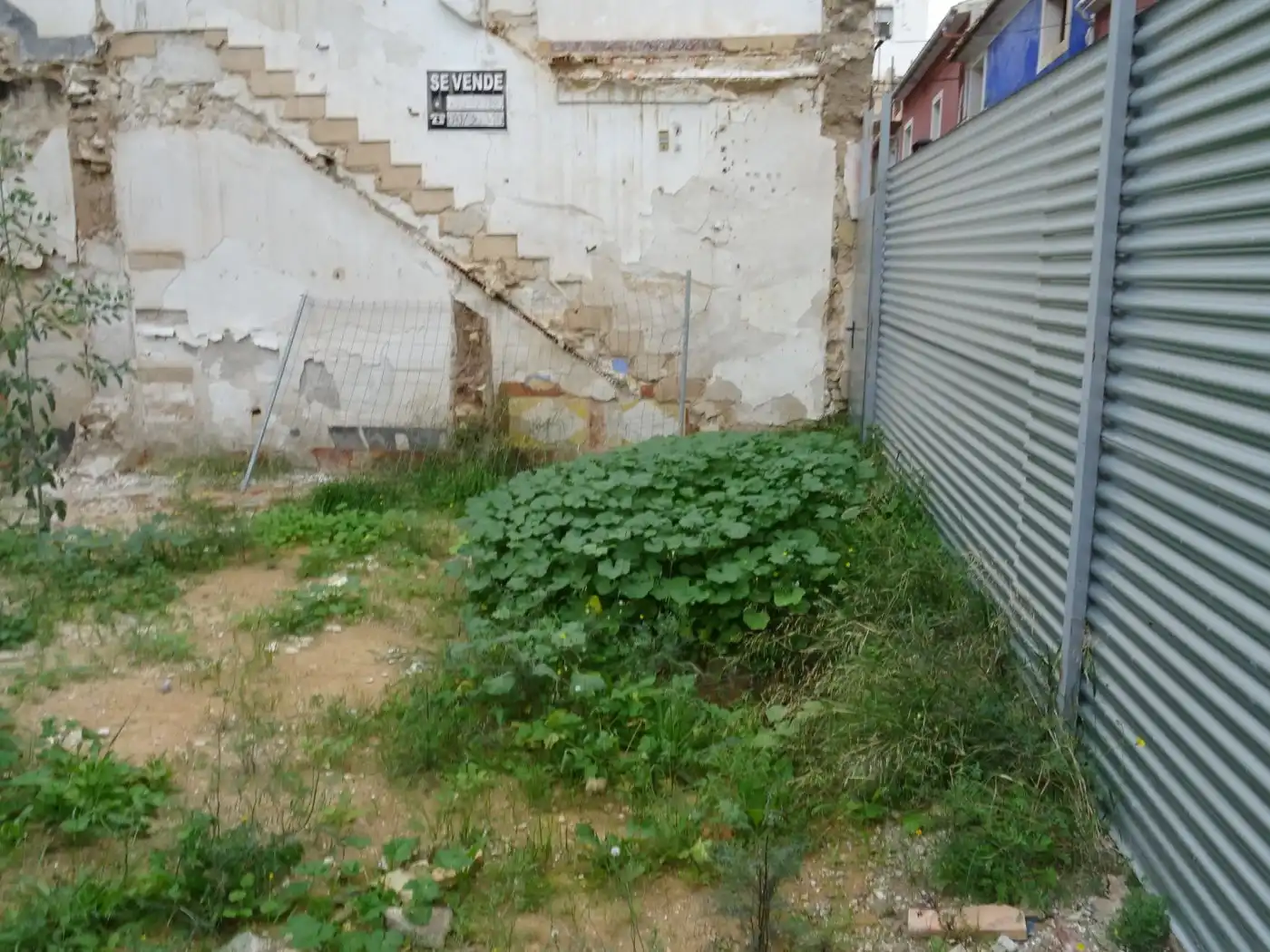 Terreno residencial en venta en Aspe Centro, imagen 2