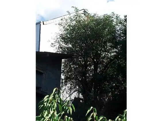 Maison à vendre à Corullón, imagen 10