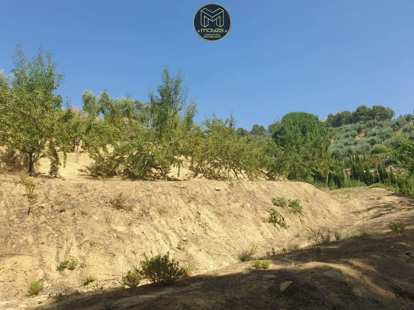 Casa o xalet en venda en Andújar amb Aire condicionat, Calefacció i Piscina