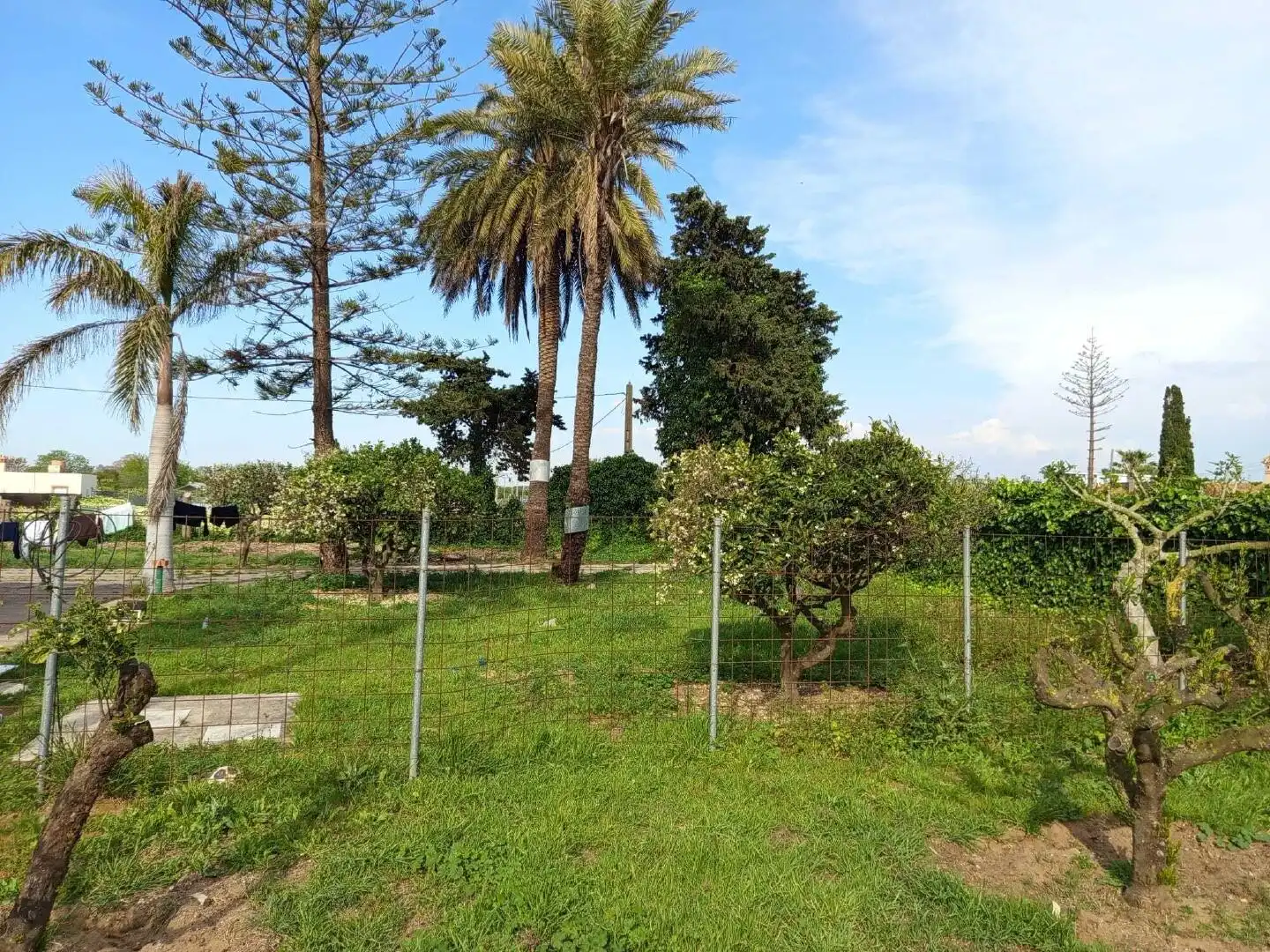 Haus zum Verkauf in Aguadulce - Almadraba - Punta Candor, imagen 7