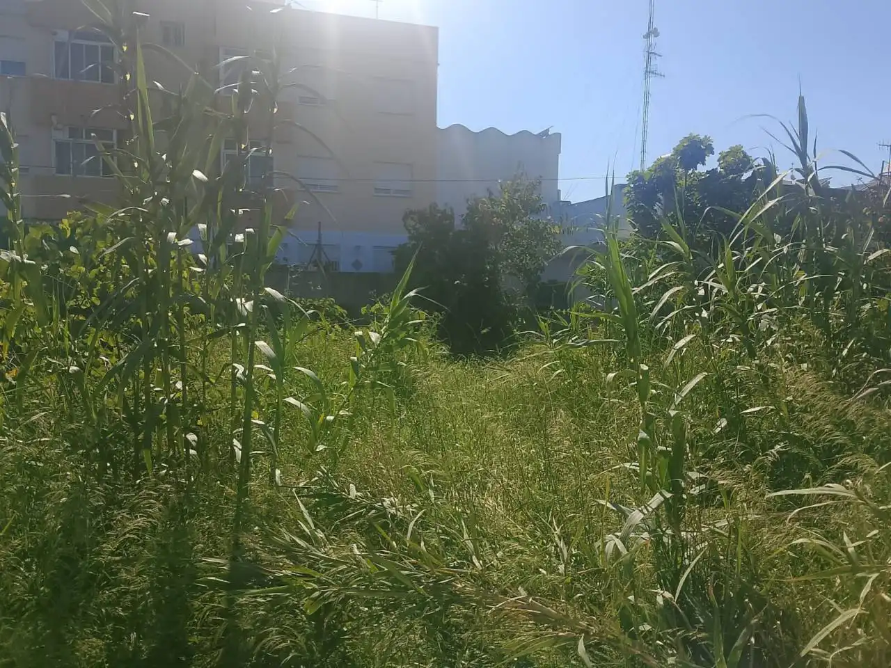 Wohnbaugrundstück zum Verkauf in Calle Valldigna, imagen 5