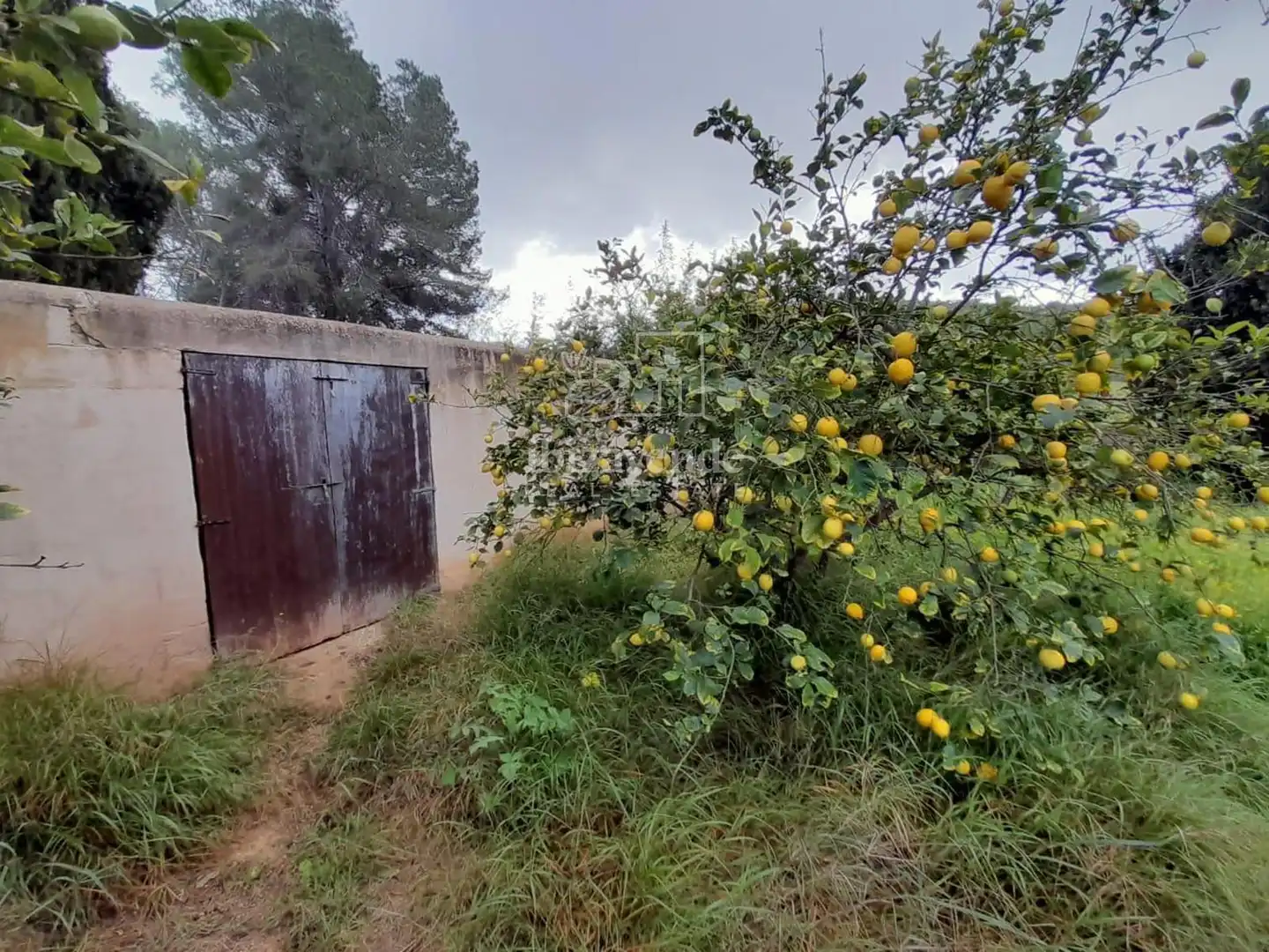 Xalet amb piscina en venda a Es Novells, imagen 30