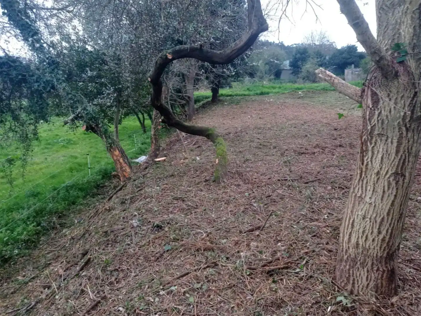 Residencial en venta en Viveiro