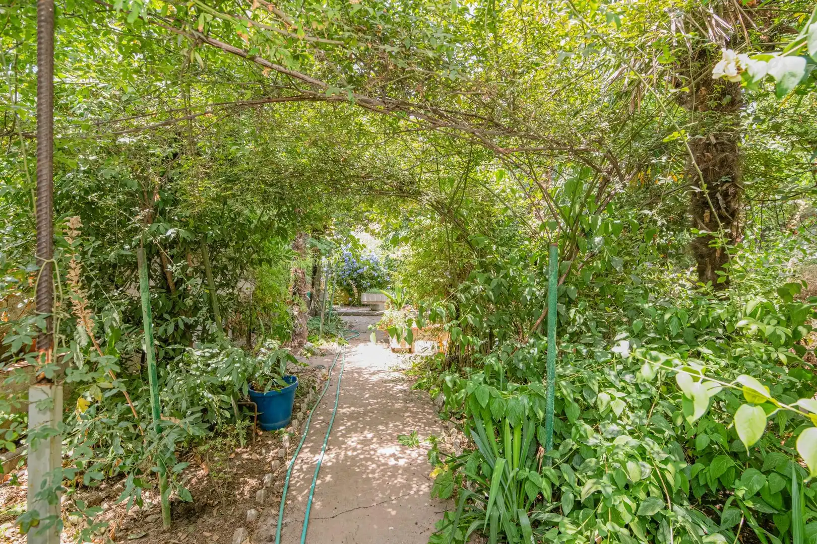 Jardín de Casa o chalet en venta en Granada con Aire acondicionado, Calefacción y Jardín privado