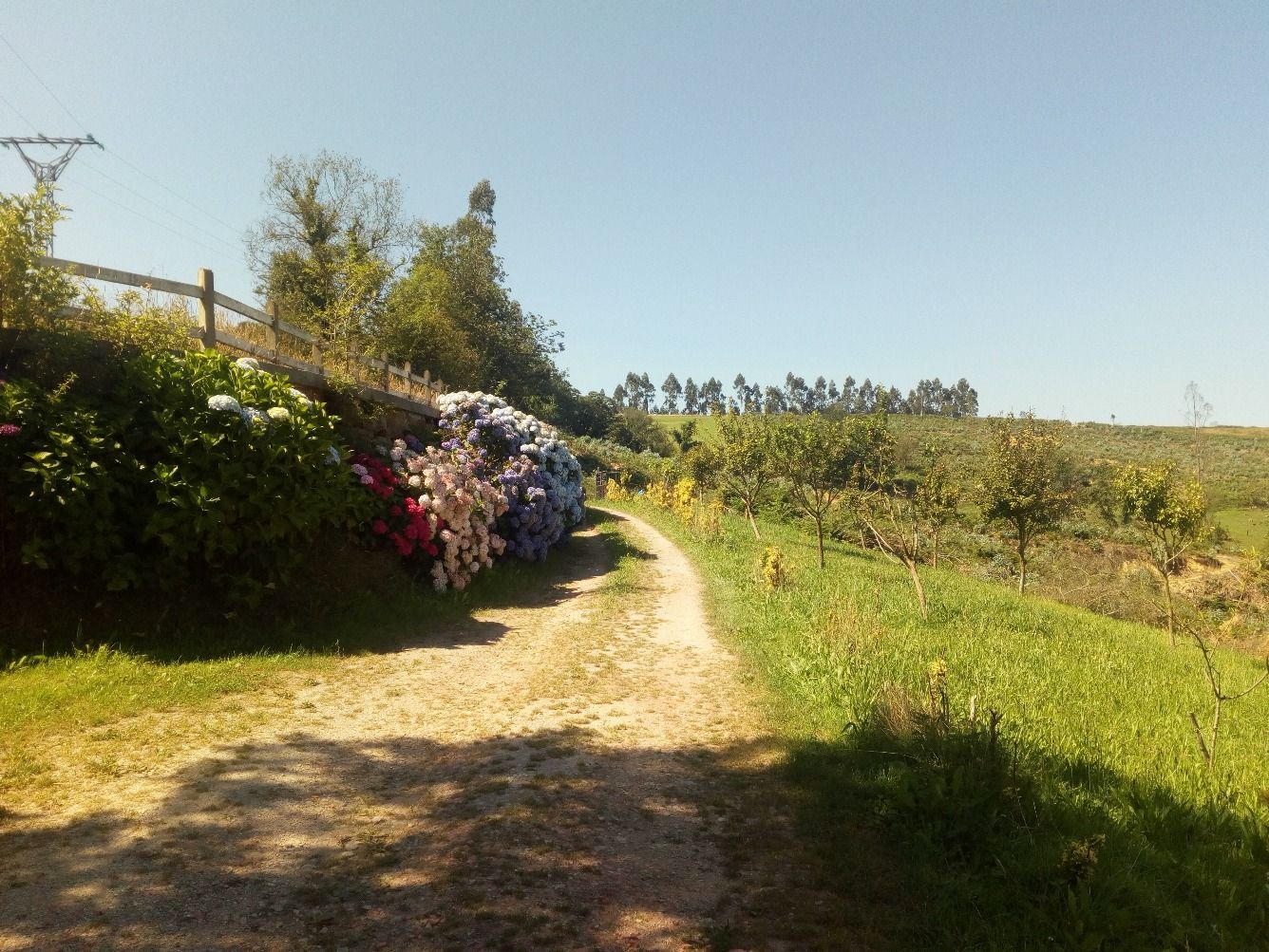Garden of Country house for sale in Reocín  with Private garden, Terrace and Furnished