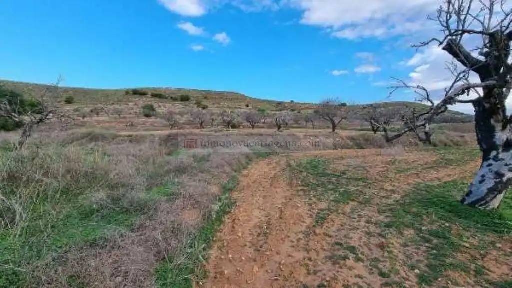 Maison rustique avec piscine à vendre à Poblado Galifa 141, imagen 14