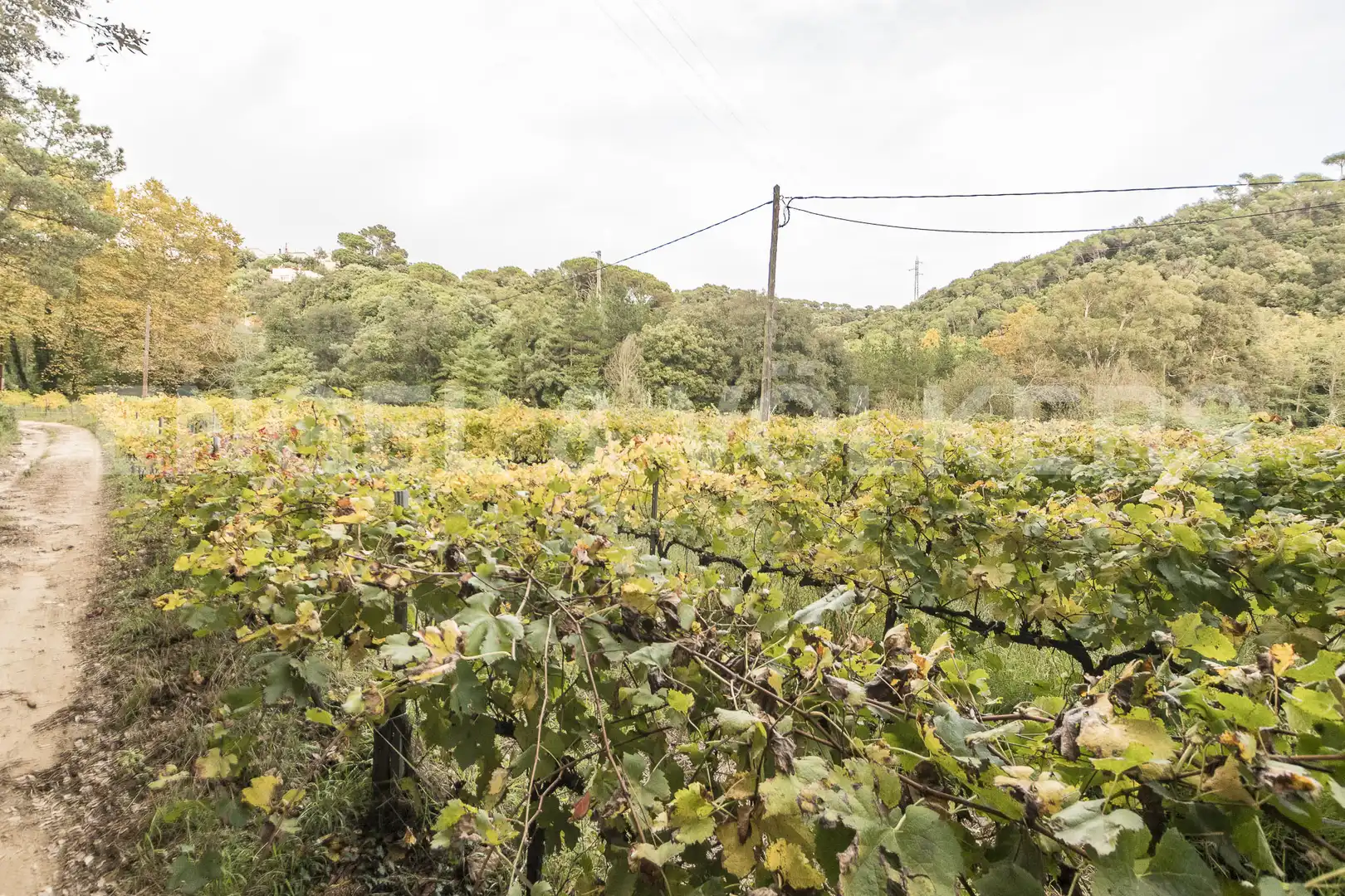 Finca rústica en venta en Sant Cebrià de Vallalta con Calefacción, Jardín privado y Terraza