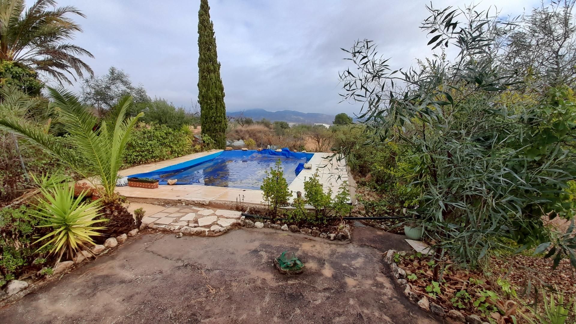 Swimming pool of House or chalet for sale in La Romana  with Heating, Private garden and Terrace