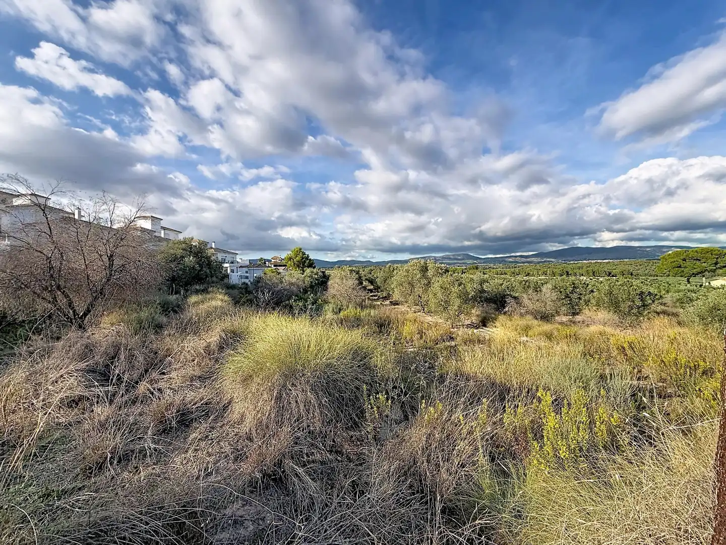 Finca rústica en venta en Castalla, Alicante