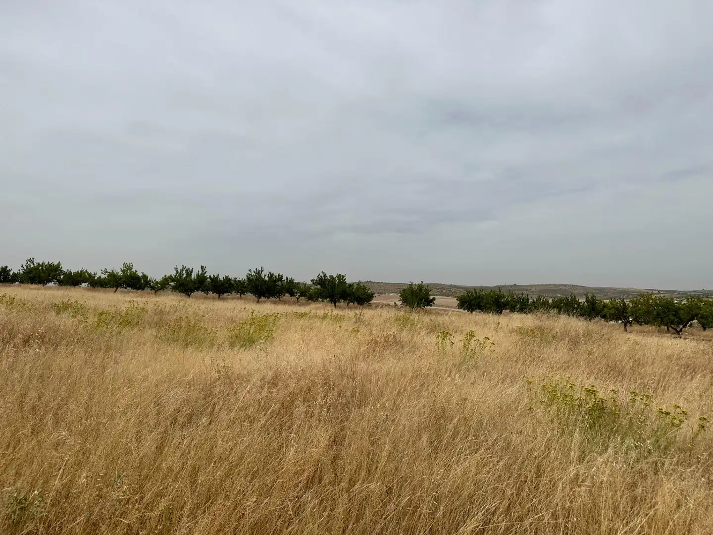 Wohnbaugrundstück zum Verkauf in Chimeneas, imagen 39