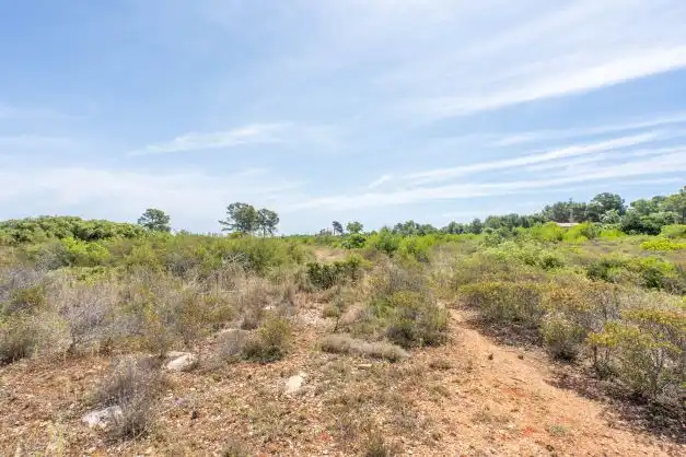 Residential land for sale in Centro ciudad, imagen 4