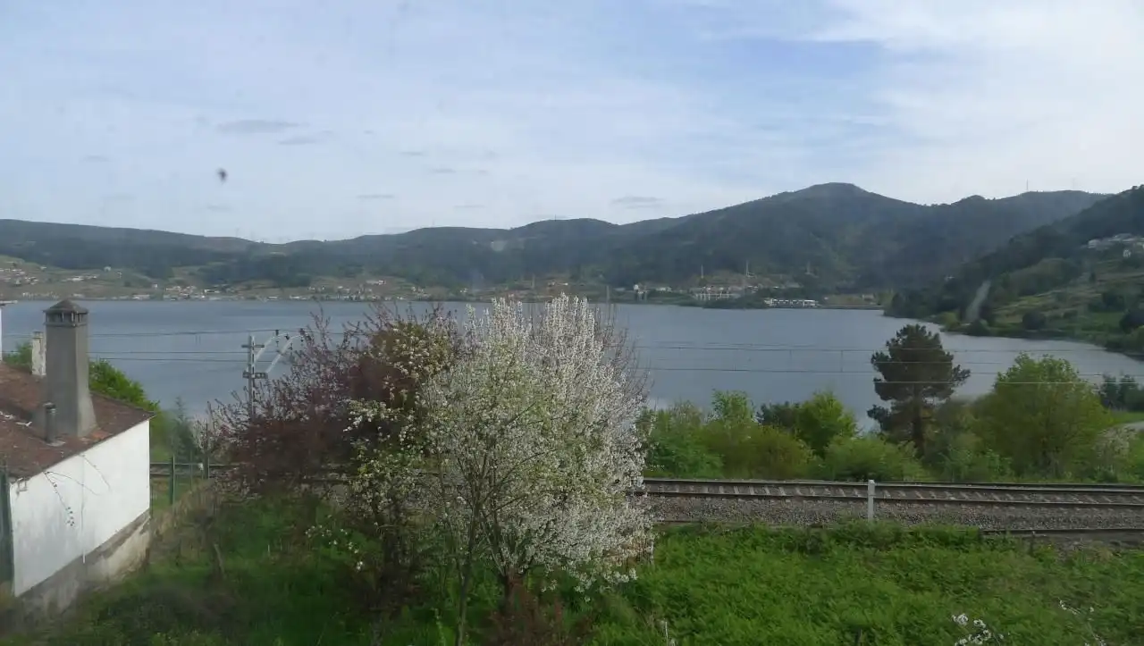 House for sale in Ribadavia, imagen 17