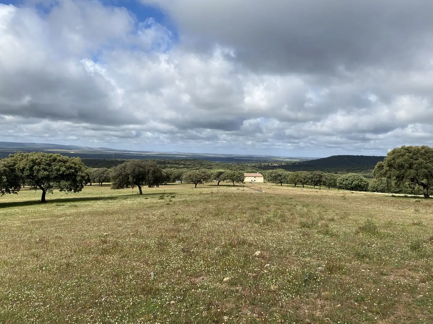 Terreno en venta en Deleitosa