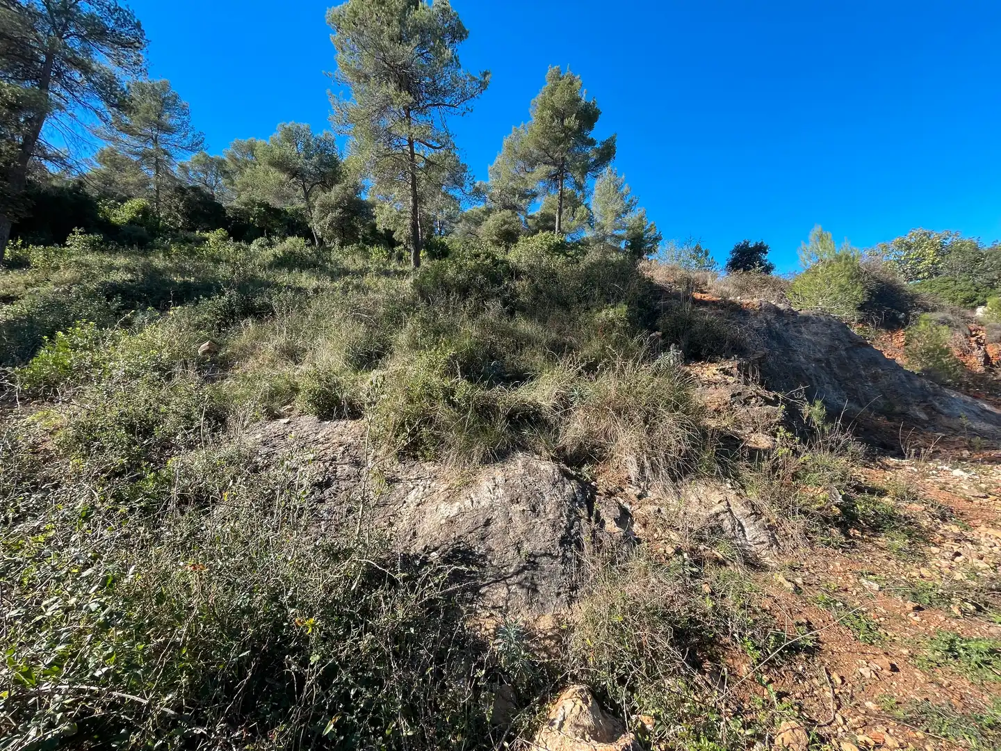 Residencial en venta en Olesa de Bonesvalls