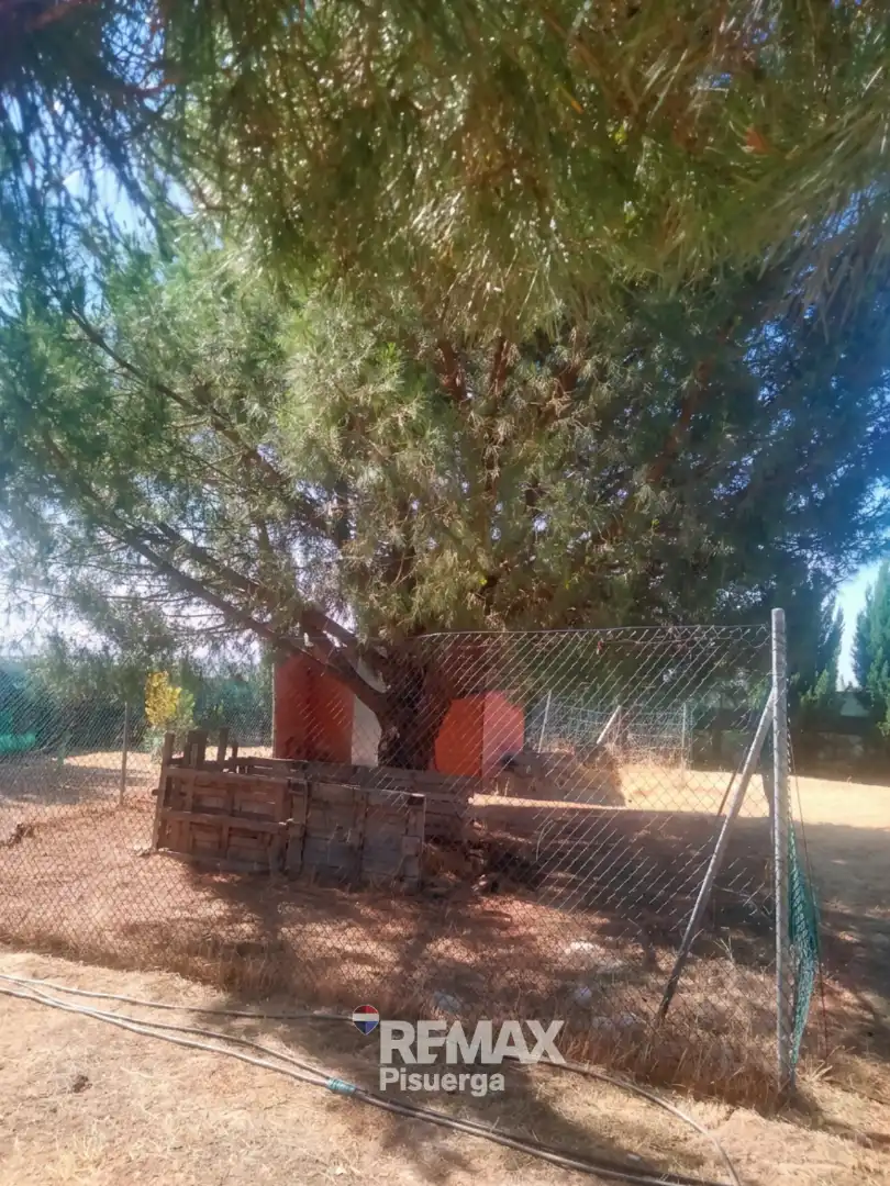 Terreni e lotti in vendita a Lugar Comun Viejo 2, imagen 14