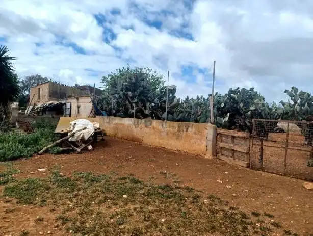 Rural land for sale in Felanitx Poble, imagen 8