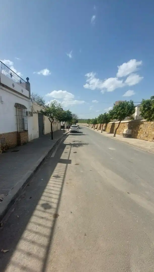 Exterior view of Houses for sale in La Puebla de Cazalla