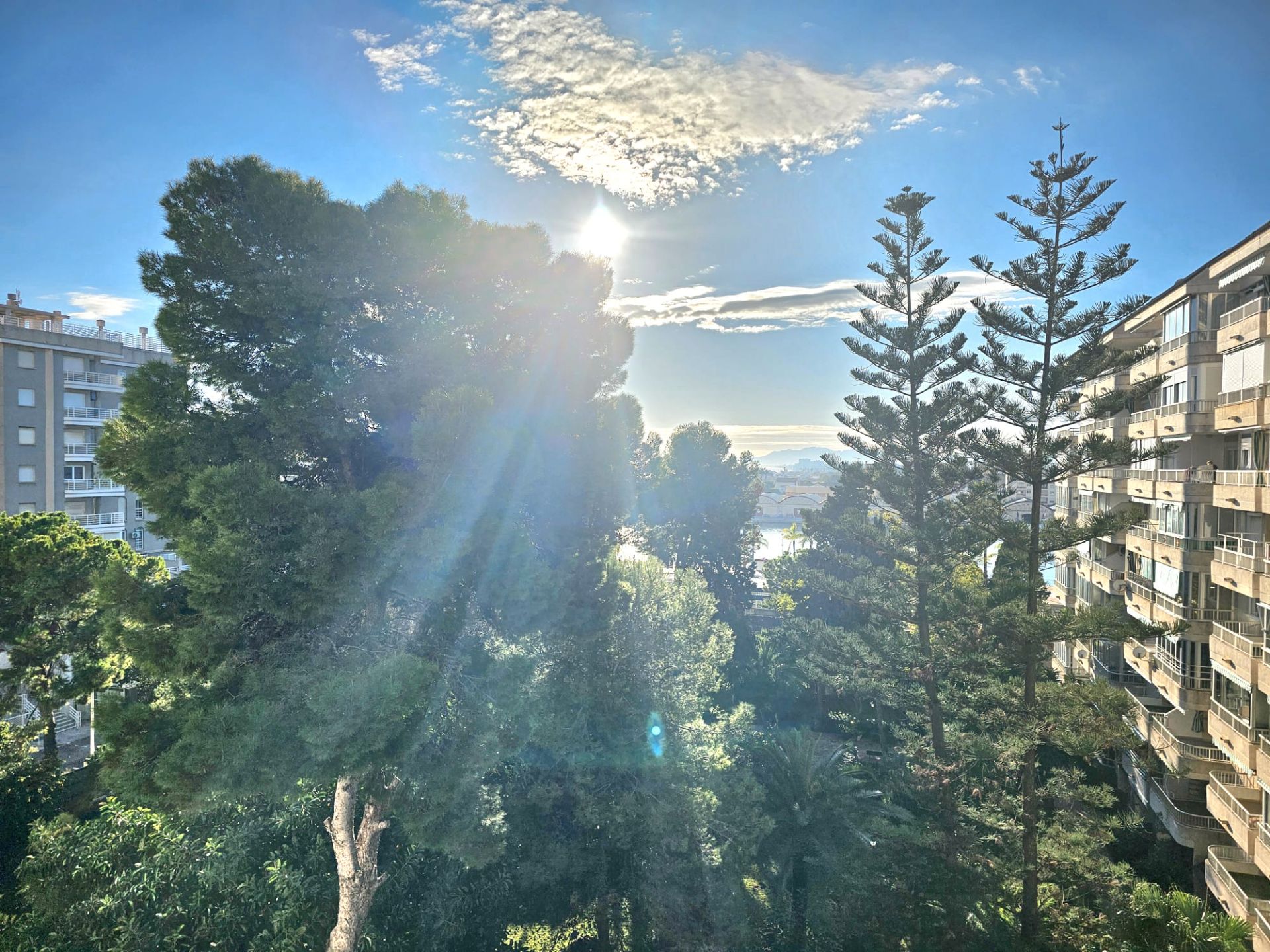 Exterior view of Flat for sale in Gandia  with Terrace, Furnished and Community pool